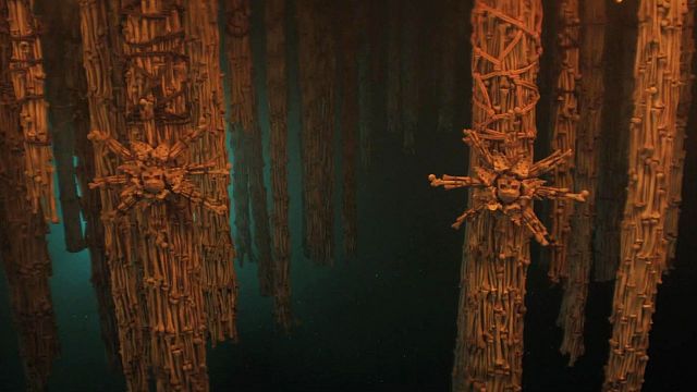 bild aus der news FSK-18-Highlight kurz nach Kinostart ab heute streamen: Schon jetzt einer der besten Horrorfilme des Jahres!