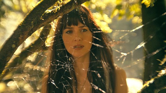 bild aus der news Wird "Madame Web" auch wichtig für das Multiversum? Das alles steckt im Trailer zum neuen Marvel-Abenteuer [Video]