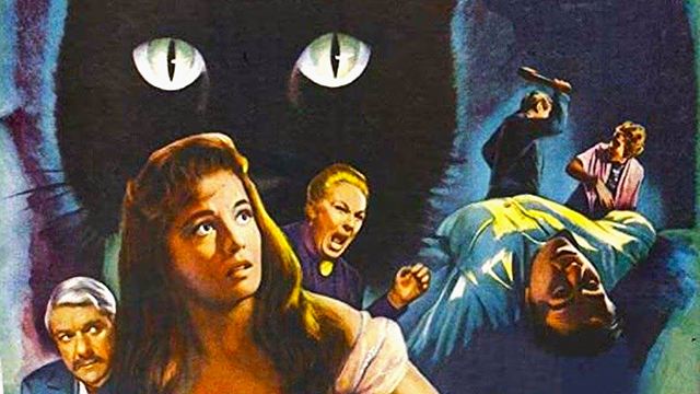 Neu im Heimkino: In diesem Horror-Kultklassiker wird eine Katze Zeugin eines Mordes – und zur gerissenen Rächerin!