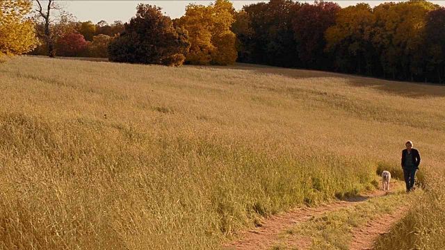 bild aus der news Streaming-Tipp: In dieser bewegenden Bestseller-Verfilmung gibt es gleich 22 (!) Hauptdarsteller