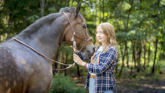 Der nächste "Ostwind"? Trailer zum Pferde-Jugend-Abenteuer "Ponyherz" mit Nilam Farooq & Didi Hallervorden