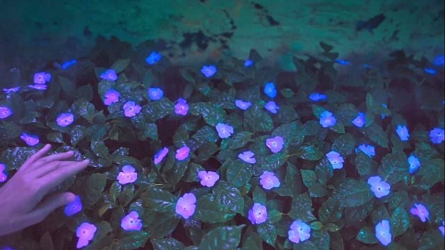 bild aus der news Bizarrer Sci-Fi- & Bodyhorror im Trailer zum gefeierten Mystery-Schocker "Veins" – schon bald im Kino!