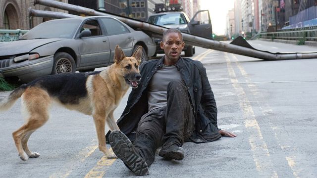 bild aus der news "I Am Legend 2" wird wie "The Last Of Us": So soll Will Smith trotz des Endes des ersten Films zurückkehren