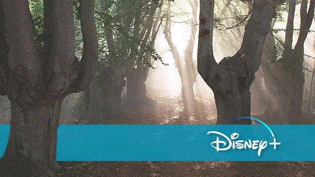 bild aus der news Neu bei Disney+: "Game Of Thrones"-Schöpfer George R.R. Martin liebt diesen Fantasy-Hit aus den 1980ern