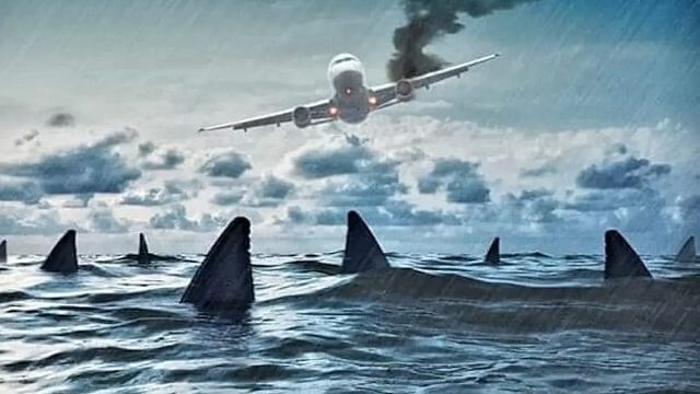 bild aus der news 27 Jahre nach einem der unterhaltsamsten Horrorfilme kehrt der Regisseur mit einem neuen Hai-Thriller zurück: Trailer zu "Deep Water"