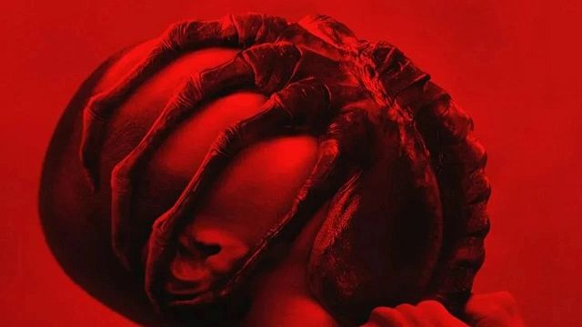 bild aus der news "Wir haben definitiv Ideen, wohin es gehen sollte": "Alien: Romulus"-Regisseur spricht über Pläne für eine Fortsetzung