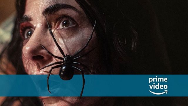bild aus der news Nur noch 3 Tage bei Amazon Prime Video streamen: Fieser Horror mit handgemachter Riesenspinne!