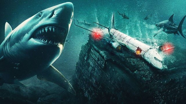 bild aus der news Heute erstmals im TV: Intensiver Survival-Thriller mit Haifisch-Horror – im Flugzeug!