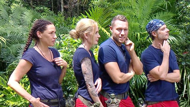 bild aus der news Dschungelcamp-Rauswurf an Tag 10: Dieser Promi muss die Show heute verlassen