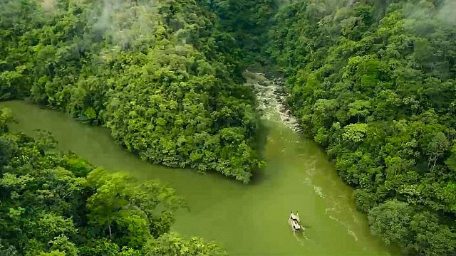 bild aus der news Selbst Nicolas Cage ist Fan: Eine der besten Filmreihen überhaupt wird fortgesetzt – seht jetzt den neuen Trailer zu "Paddington in Peru"