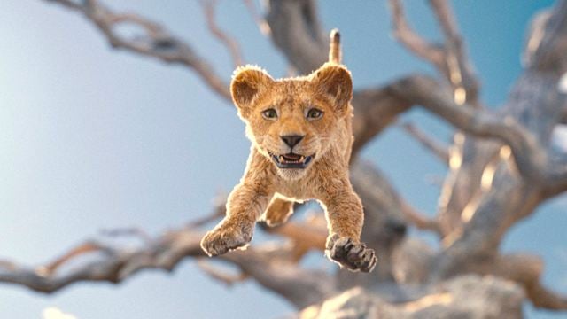 Erster Trailer zu "Der König der Löwen 2": Disney verzaubert uns noch 2024 mit "Mufasa" im Kino