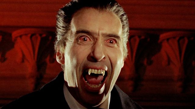 bild aus der news Weil ich Vampir-Filme liebe, habe ich das echte Dracula-Schloss besucht – und ich kann es euch nur empfehlen!
