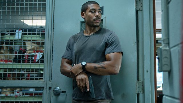 bild aus der news Sein letzter Film wurde mehr als 129 Millionen Mal auf Netflix geschaut: Halb Hollywood kämpft um den neuen Thriller dieses Regisseurs