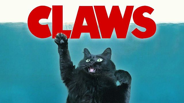 bild aus der news So habt ihr eure Lieblingsfilme noch nie gesehen: "Top Gun 2", "Titanic", "Jurassic Park" und "Der weiße Hai" mit einer Katze!