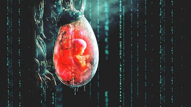 bild aus der news Sie ist die Kult-Regisseurin eines Sci-Fi-Meisterwerks, trotzdem will niemand in Hollywood ihren neuen Film finanzieren