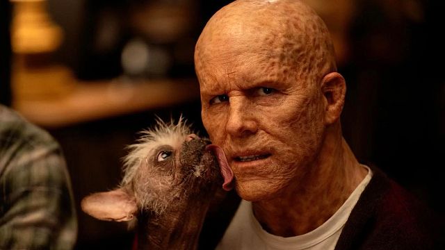 bild aus der news Kinocharts: "Deadpool & Wolverine" wurde von Platz 1 gestoßen – aber nicht von "Alien: Romulus"!