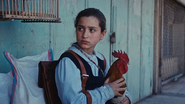 bild aus der news Der wohl stressigste Einkaufstrip des Kinojahres: Hier ist der deutsche Trailer zum preisgekrönten "Ein Kuchen für den Präsidenten"