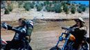 bild aus der news Tod des "Easy Rider"-Kameramanns