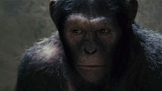 bild aus der news Erster "Rise of the Planet of the Apes"-Trailer
