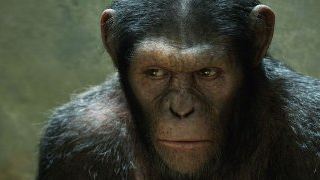 "Planet der Affen": Mit Gebrüll an die Spitze der deutschen Kinocharts