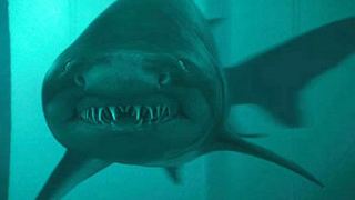 "Shark Night 3D": Drei Filmclips aus dem bissigen Hai-Horror-Streifen