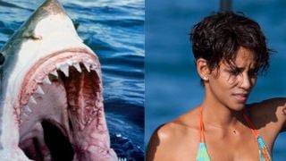"Dark Tide": Deutscher Trailer mit sexy Halle Berry als Haifisch-Flüsterin