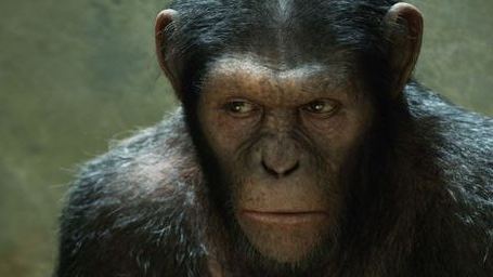 Fox will Guillermo del Toro als Regisseur für "Dawn Of The Planet Of The Apes"