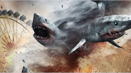 Jedward gegen den Hai-Sturm: Irisches Pop-Duo will Auftritt in "Sharknado 2"