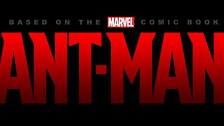 bild aus der news Marvels "Ant-Man": Joseph Gordon-Levitt und Paul Rudd konkurrieren um die Hauptrolle
