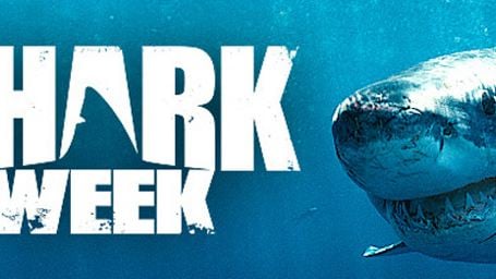 Deutscher Teaser zu "Shark Week ... 7 Tage - 7 Haie" über das Lieblingstier im Trash-Horror-Genre