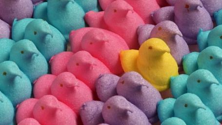 Abenteuer eines Schaumgummis: Die "Marshmallow Peeps" kommen