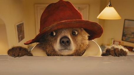 bild aus der news Ein Bär alleine in London: Erster Trailer zur Jugendbuchverfilmung "Paddington" mit Nicole Kidman und Colin Firth