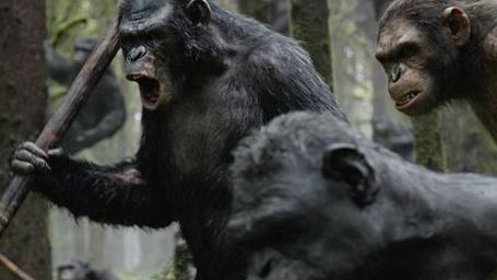 Auge in Auge mit Affen: Beklemmender Filmausschnitt aus "Planet der Affen: Revolution"