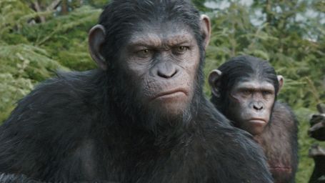 bild aus der news Matt Reeves über "Planet der Affen 3": Noch keine Verknüpfung zum Originalklassiker von 1968