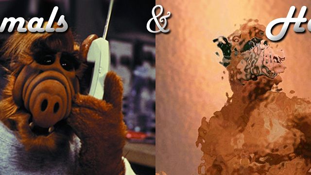 bild aus der news Damals & heute: Die Stars aus "ALF"