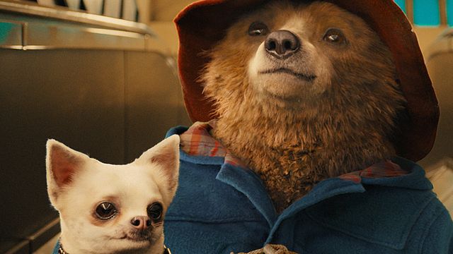 bild aus der news "Paddington 2": Fortsetzung der Familienkomödie mit dem beliebten Bären in Planung