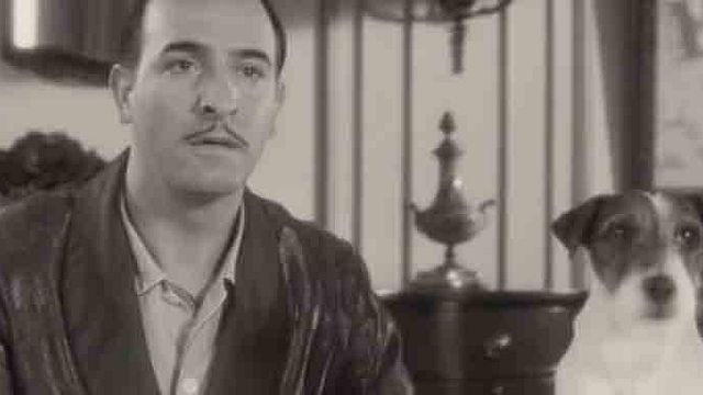 bild aus der news Film-Hund Uggie the Dog aus "The Artist" wurde eingeschläfert