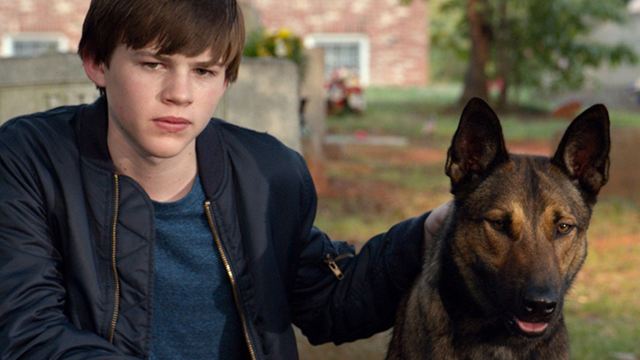 Bester Freund, Held, Retter: Deutscher Trailer zum Schäferhund-Kriegsdrama "Max"