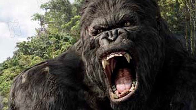 bild aus der news Die ersten Set-Bilder von "Kong: Skull Island" machen dem Namen alle Ehre