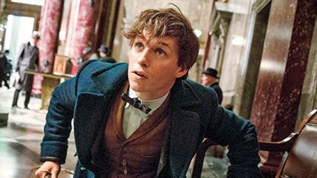 bild aus der news "Phantastische Tierwesen und wo sie zu finden sind": Das sind die Hauptfiguren!