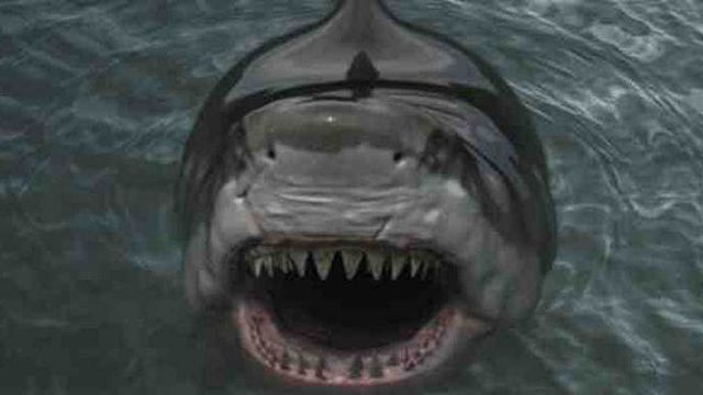 bild aus der news Schnelle Boote, heiße Frauen und sterbende Trottel: Seht den deutschen Trailer zum Hai-Horror "Zombie Shark"