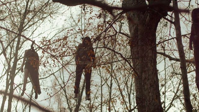 bild aus der news Klingt harmlos, ist es aber nicht: Deutscher Trailer zum Horror-Thriller "Das Baumhaus - Betreten verboten!"