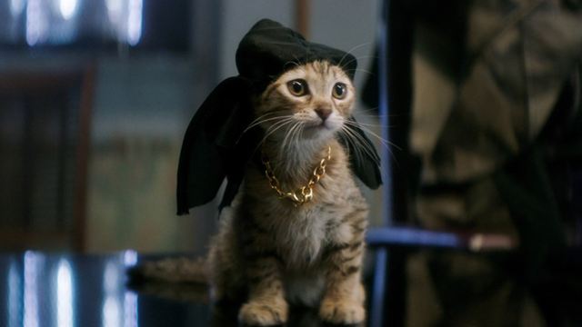 Das macht die Katze froh: Erster deutscher Trailer zur Action-Komödie "Keanu" mit Key & Peele