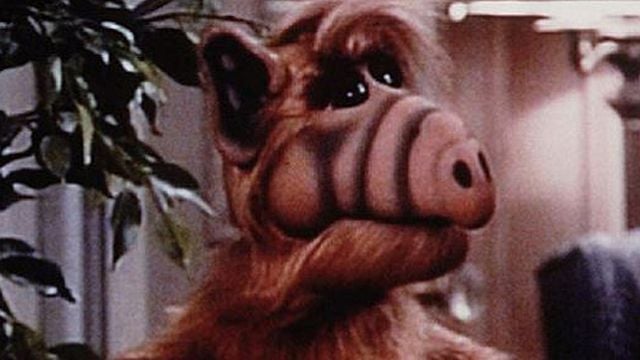 bild aus der news "Alf"-Schauspieler Michu Meszaros ist tot