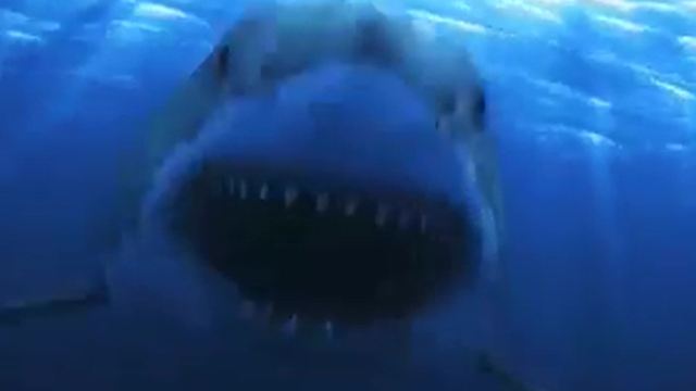 Ein Hai als Maulwurf? Im deutschen Trailer zu "Sharkansas Women's Prison Massacre" gräbt ein Fisch den Boden um