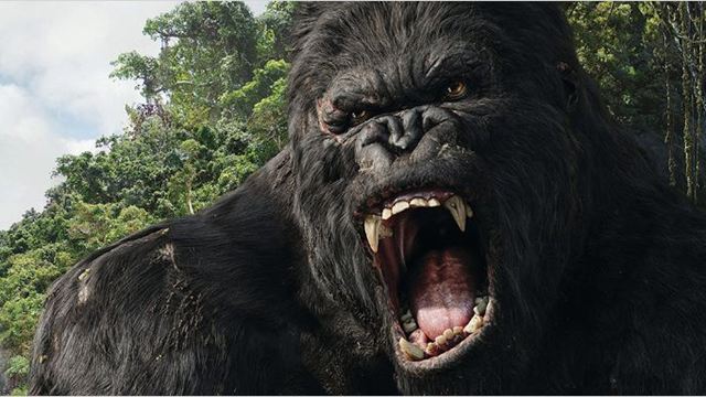"Der größte King Kong aller Zeiten": Erstes Szenenbild und neue Details zu "Kong: Skull Island" mit Tom Hiddleston