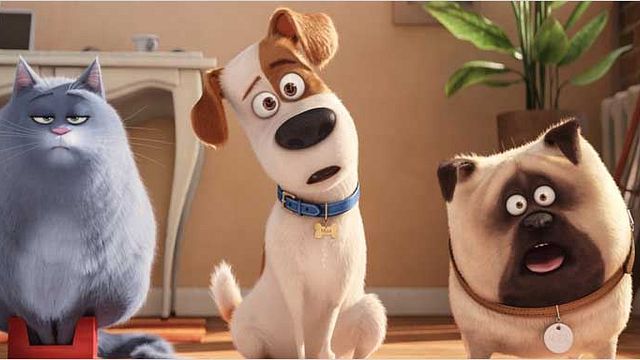 bild aus der news "Pets 2":  Nach Kino-Erfolg kündigt Universal "Pets"-Fortsetzung für 2018 an
