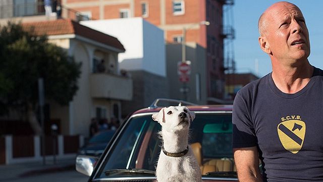 bild aus der news Bruce Willis macht den "John Wick": Killer mit Hund im ersten Trailer zu "Once Upon A Time In Venice"