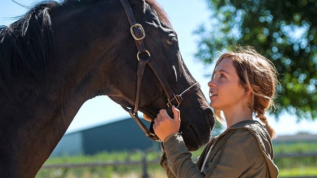 bild aus der news "Rock My Heart": Erster Trailer zum 4-Sterne-Pferdefilm mit Dieter Hallervorden