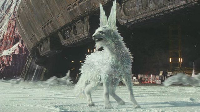 bild aus der news Cooler als die Porgs: Video und Infos zu den Kristallfüchsen aus "Star Wars 8"